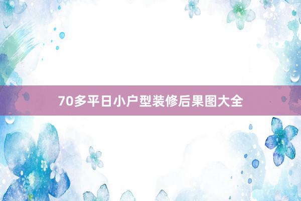 70多平日小户型装修后果图大全