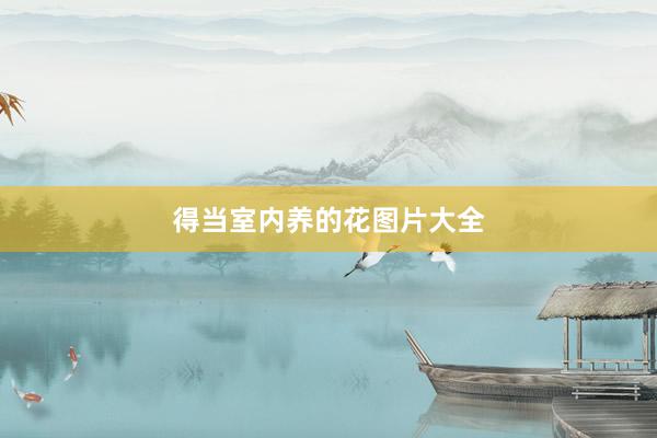 得当室内养的花图片大全