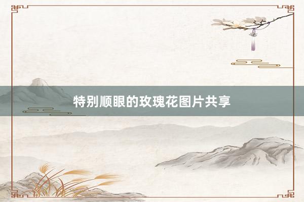 特别顺眼的玫瑰花图片共享